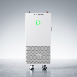 Dyness 10kW Lithium Battery